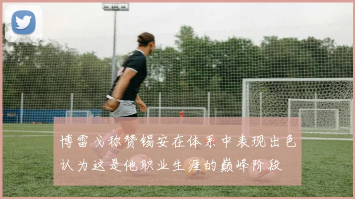 博雷戈称赞锡安在体系中表现出色认为这是他职业生涯的巅峰阶段